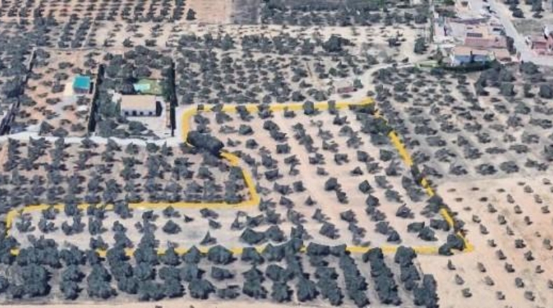 Granada - Albolote - 8700m2