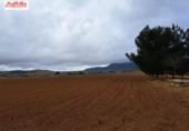 Casa de campo con terreno en venta en la España, Hondón de las Nieves, ref: TR399702 foto