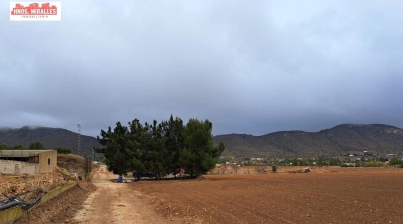 Alicante - Hondón de las Nieves - 15000m2