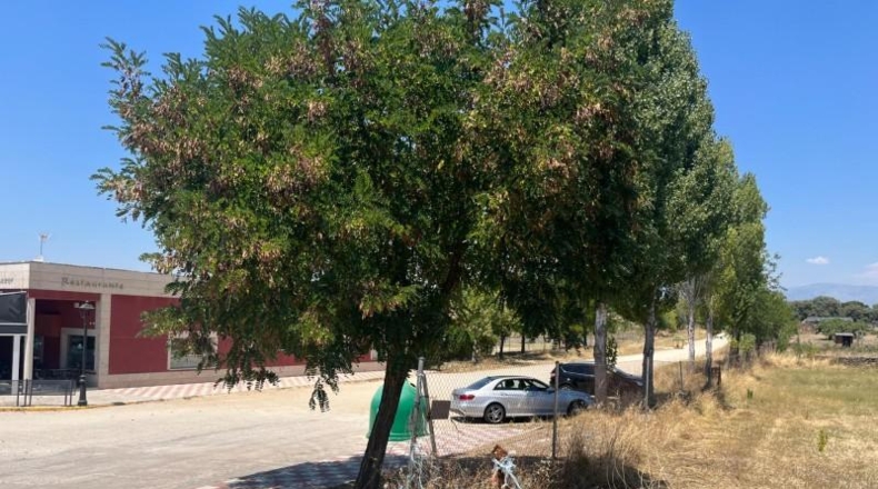 Jaén - Noalejo - 1696m2