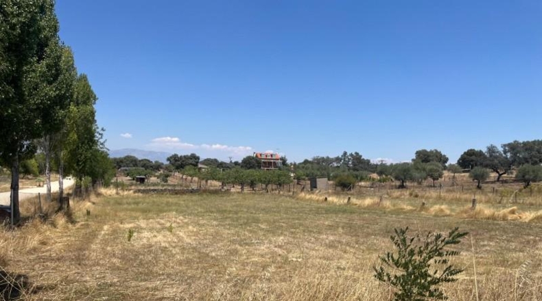 Jaén - Noalejo - 1696m2