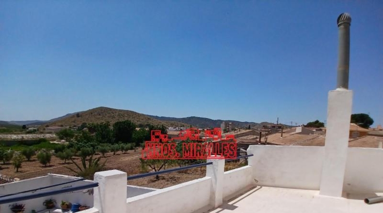 Alicante - Dolores - 295m2