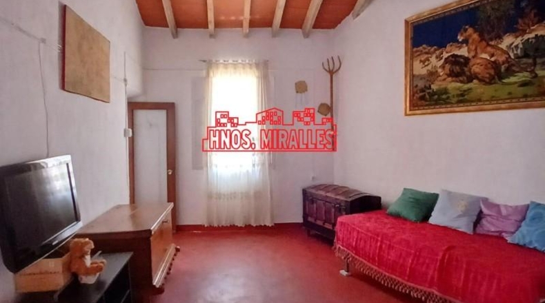 Alicante - Dolores - 295m2