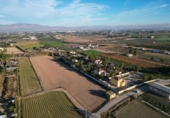 Terreny no urbanitzable en venda a la España, Catral, ref.: TR394779 foto