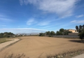 Terreny no urbanitzable en venda a la España, Catral, ref.: TR394779 foto