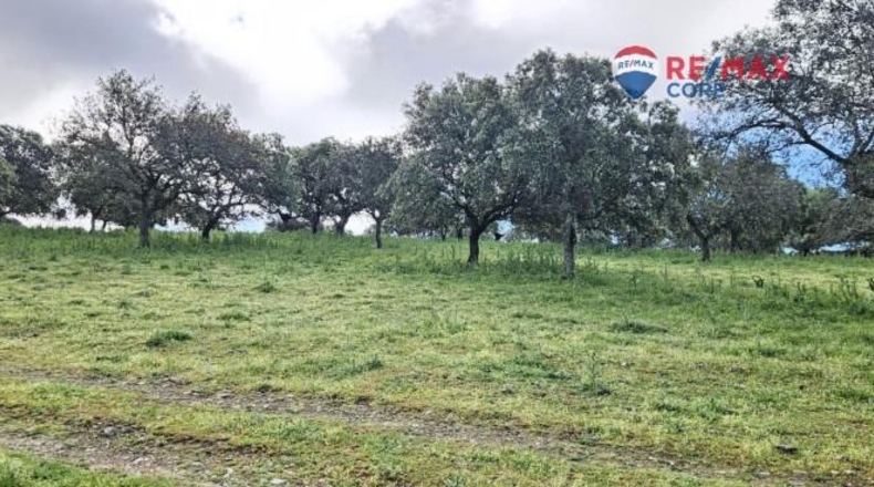 Badajoz - Siruela - 206000m2