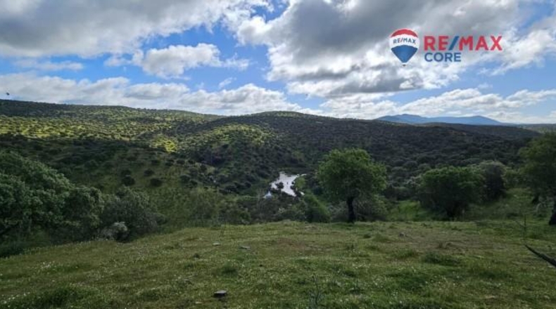 Badajoz - Siruela - 206000m2