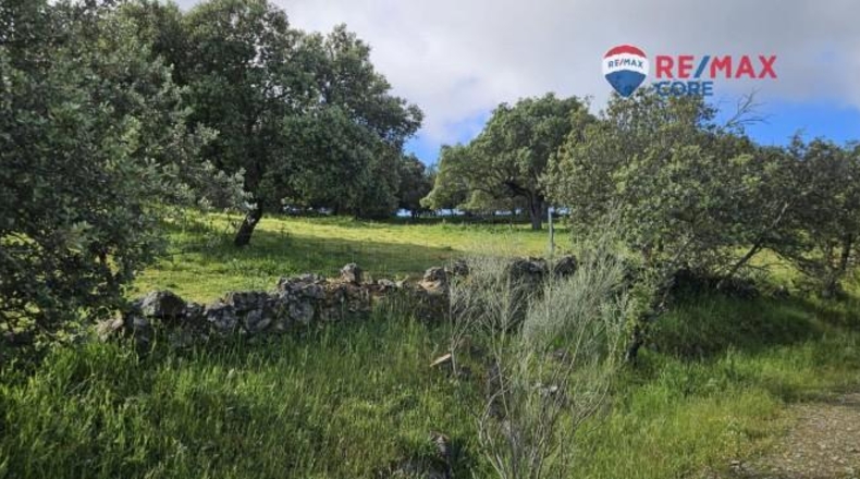 Badajoz - Siruela - 206000m2