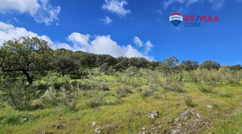 Badajoz - Siruela - 206000m2