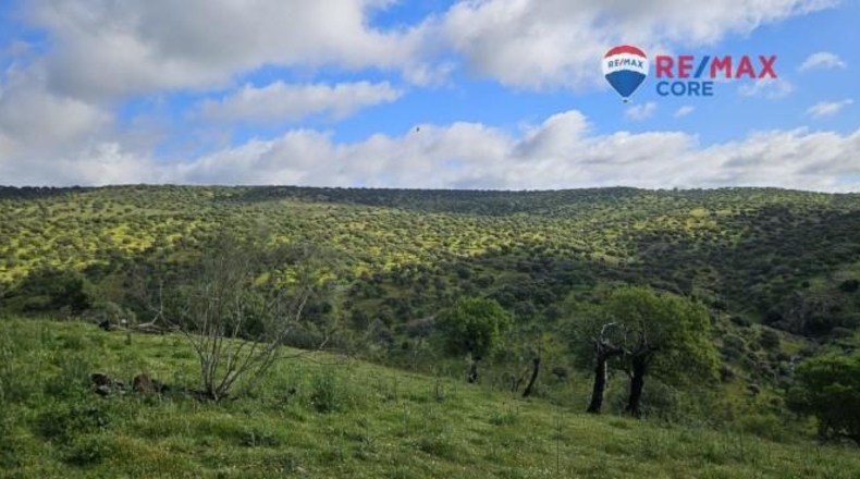 Badajoz - Siruela - 206000m2
