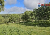 Casa de pedra amb terreny en venda a la España, Siruela, ref.: TR398934 foto