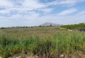 Catral 11000&nbsp;m² 