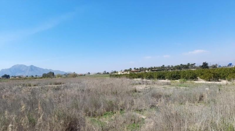 Alicante - Катраль - 11000m2
