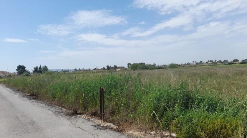 Alicante - Катраль - 11000m2