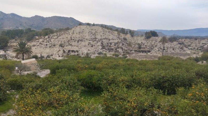 Guipúscoa - Azcoitia - 24000m2