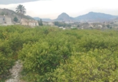 Terreno no urbanizable en venta en la España, Ulea, ref: TR396777 foto