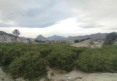 Terreno no urbanizable en venta en la España, Ulea, ref: TR396777 foto
