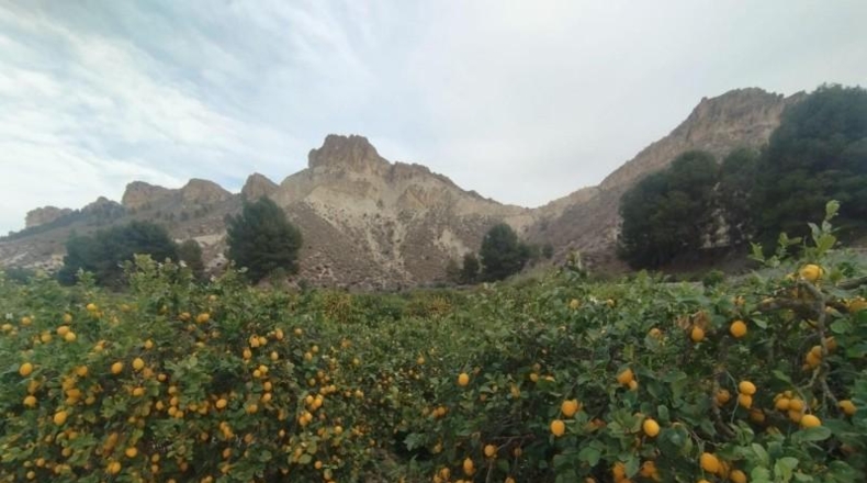 Guipúscoa - Azcoitia - 24000m2