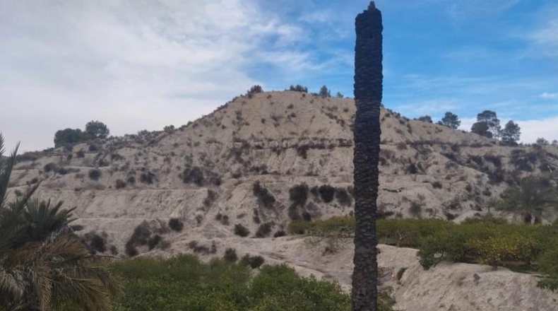 Guipúscoa - Azcoitia - 24000m2