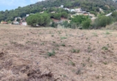 Terreny no urbanitzable en venda a la España, Pineda de Mar, ref.: TR396918 foto