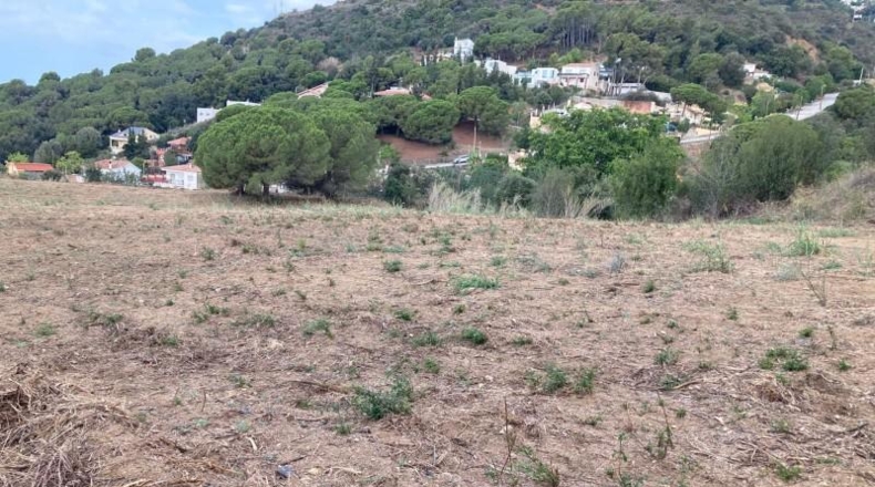 Santa Cruz de Tenerife - Adeje - 10920m2