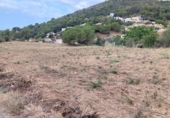 Terreny no urbanitzable en venda a la España, Pineda de Mar, ref.: TR396918 foto