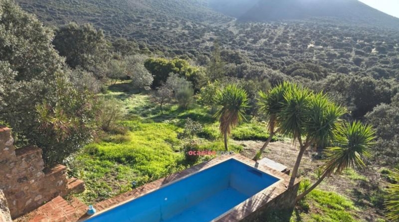 Córdoba - Santa Eufemia - 36287m2