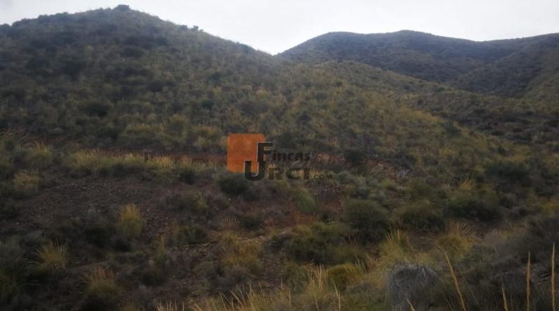 Murcia - Águilas - 230000m2