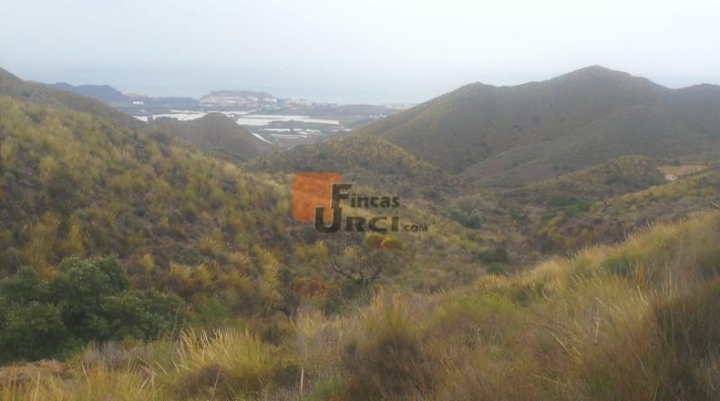 Murcia - Águilas - 230000m2