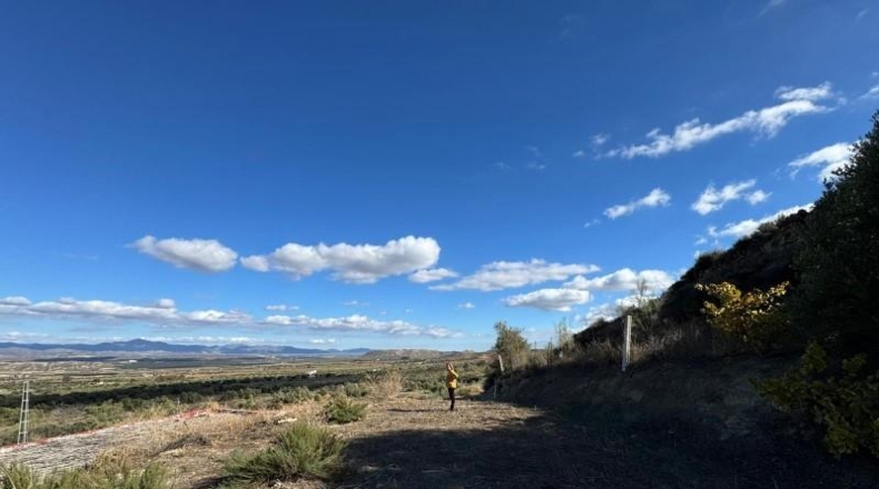 Almeria - Tabernas - 29395m2