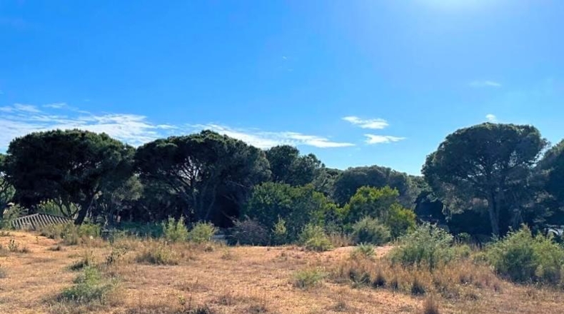 Cadiz - Chiclana de la Frontera - 760m2