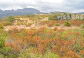 Non-developable land for sale on España, Llíber, ref: TR397820 photo