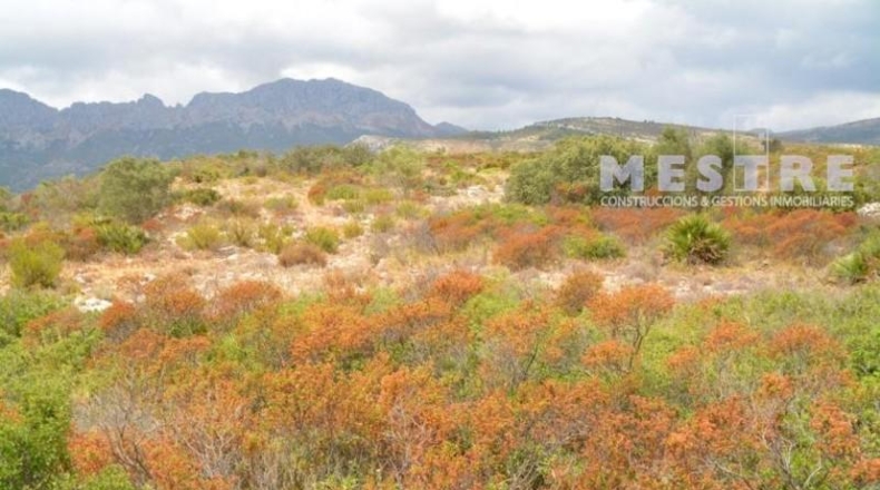 Lugo - Becerreá - 38000m2
