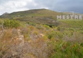 Non-developable land for sale on España, Llíber, ref: TR397820 photo
