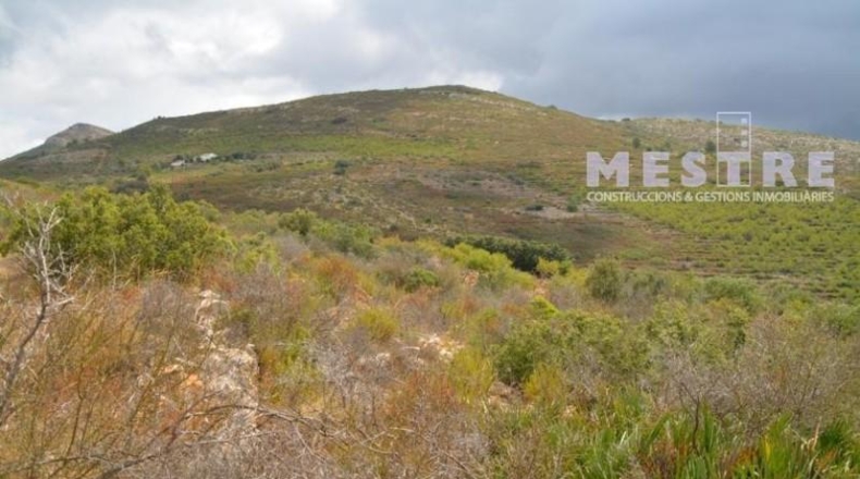 Lugo - Becerreá - 38000m2