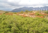 Non-developable land for sale on España, Llíber, ref: TR397820 photo