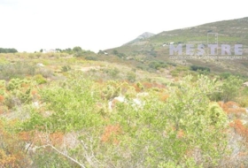 Llíber 38000&nbsp;m² 