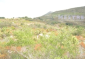 Non-developable land for sale on España, Llíber, ref: TR397820 photo