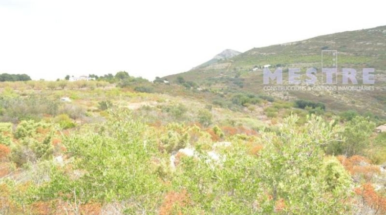 Lugo - Becerreá - 38000m2