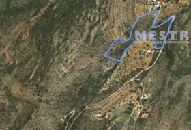 Llíber 38000&nbsp;m² 