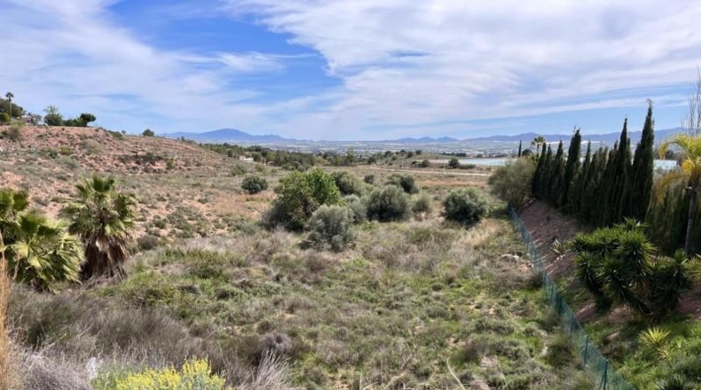 Murcia - Totana - 20632m2