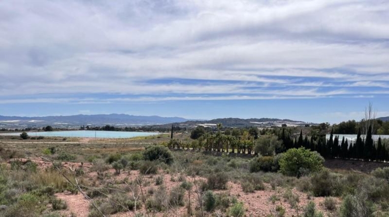 Murcia - Totana - 20632m2