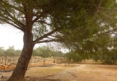 Chalet independiente con terreno en venta en la España, Camarles, ref: TR397919 foto