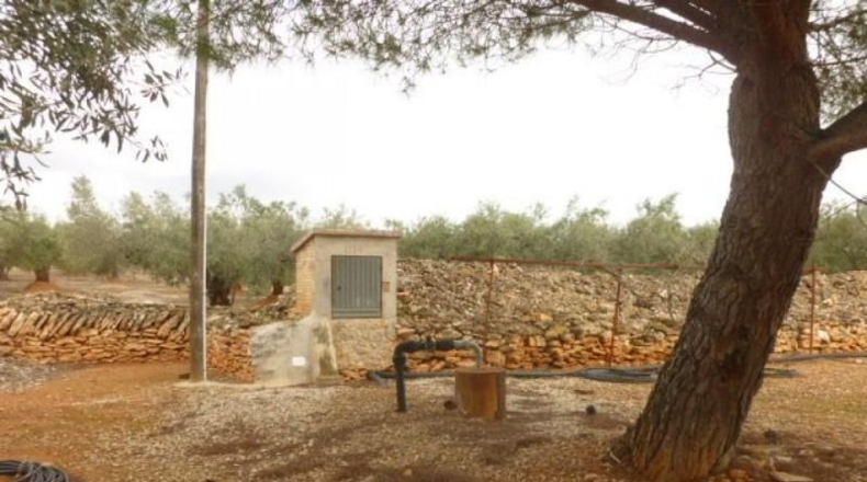 Asturias - Oviedo - 39000m2