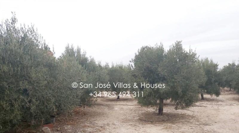 Alicante - Aspe - 1680m2