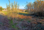 Land suitable for development for sale on España, Vigo, ref: TR397116 photo