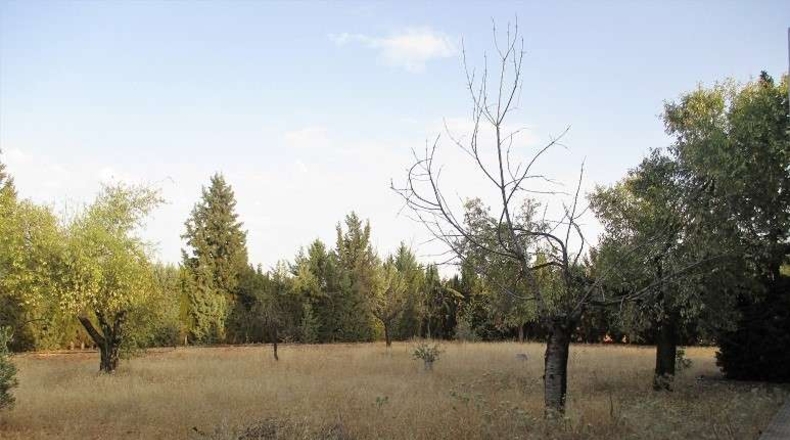 Burgos - Entrambasaguas - 6500m2