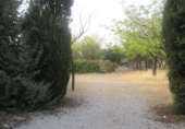 Chalet independiente con terreno en venta en la España, Valdepeñas, ref: TR397879 foto