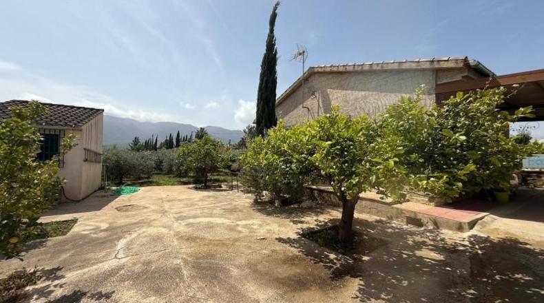 Мурсия - Murcia - 2438m2