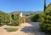 Chalet independiente con terreno en venta en la España, Murcia, ref: TR385210 foto